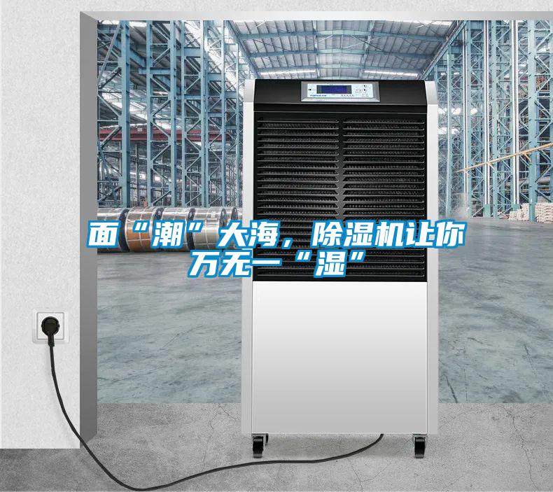面“潮”大海，除濕機讓你萬無一“濕”