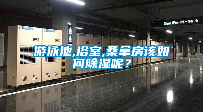 游泳池,浴室,桑拿房該如何除濕呢？
