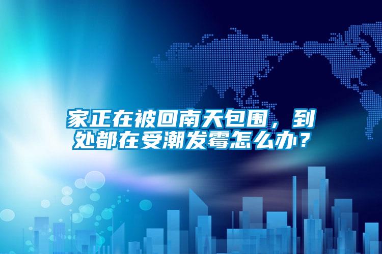 家正在被回南天包圍，到處都在受潮發霉怎么辦？