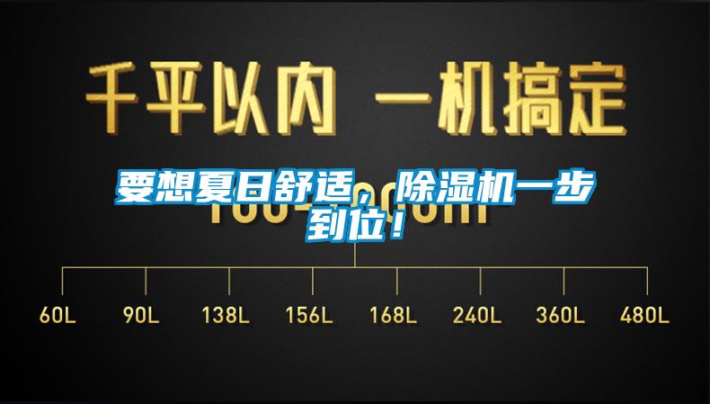 要想夏日舒適，除濕機一步到位！