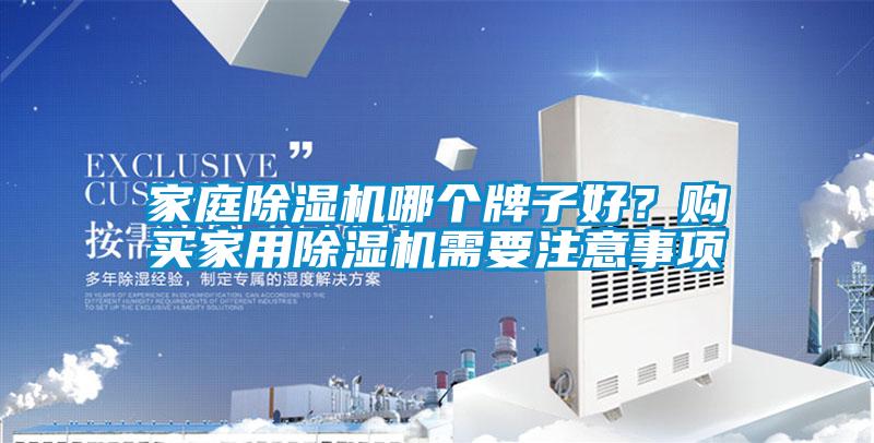 家庭除濕機哪個牌子好？購買家用除濕機需要注意事項