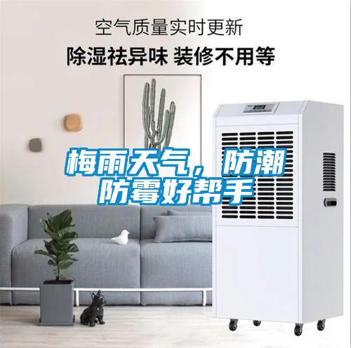 梅雨天氣，防潮防霉好幫手
