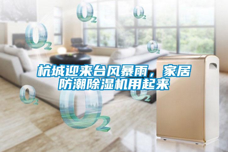 杭城迎來臺風暴雨，家居防潮除濕機用起來