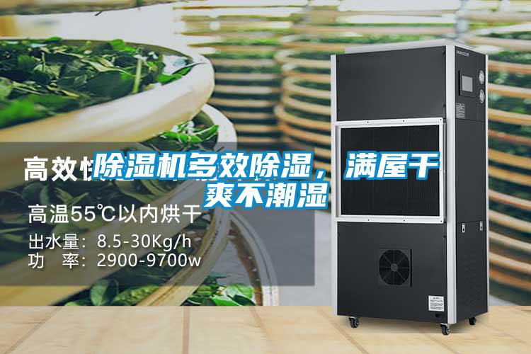 除濕機多效除濕，滿屋干爽不潮濕