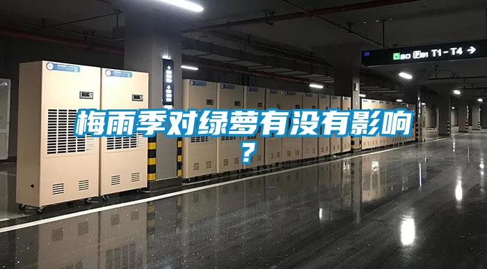 梅雨季對綠蘿有沒有影響？