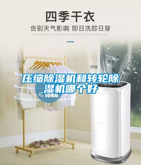 壓縮除濕機和轉輪除濕機哪個好