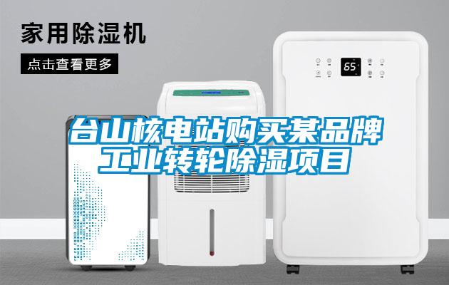 臺山核電站購買某品牌工業轉輪除濕項目