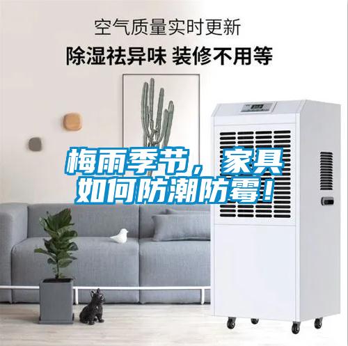 梅雨季節，家具如何防潮防霉！