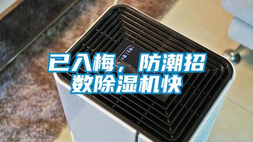 已入梅，防潮招數除濕機快