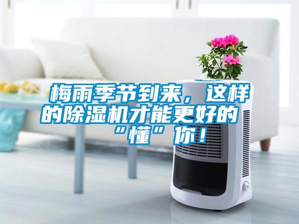 梅雨季節到來，這樣的除濕機才能更好的“懂”你！