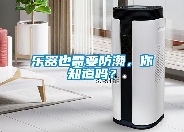 樂器也需要防潮，你知道嗎？