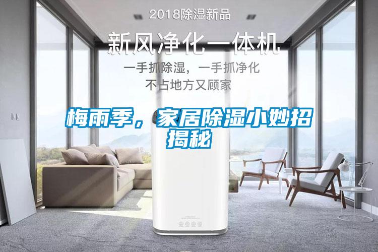 梅雨季，家居除濕小妙招揭秘