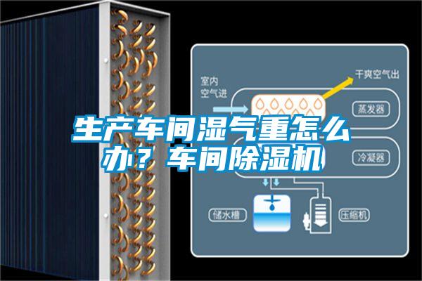 生產車間濕氣重怎么辦？車間除濕機