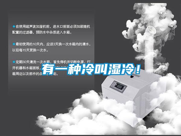 有一種冷叫濕冷！