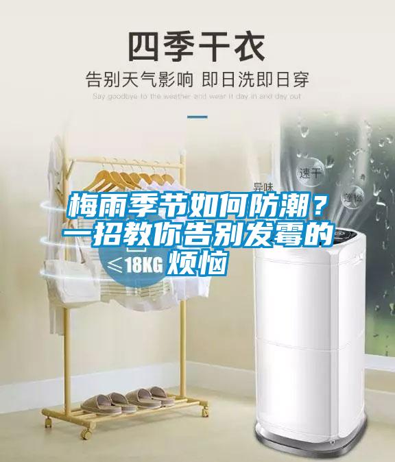 梅雨季節如何防潮？一招教你告別發霉的煩惱