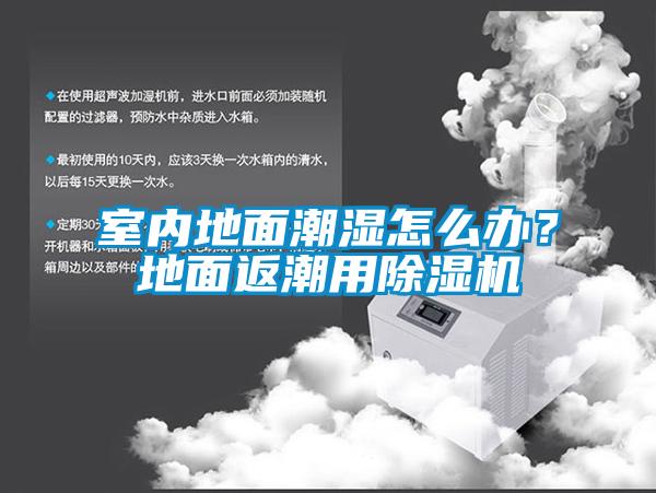 室內地面潮濕怎么辦？地面返潮用除濕機