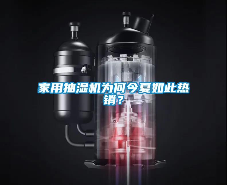 家用抽濕機為何今夏如此熱銷？