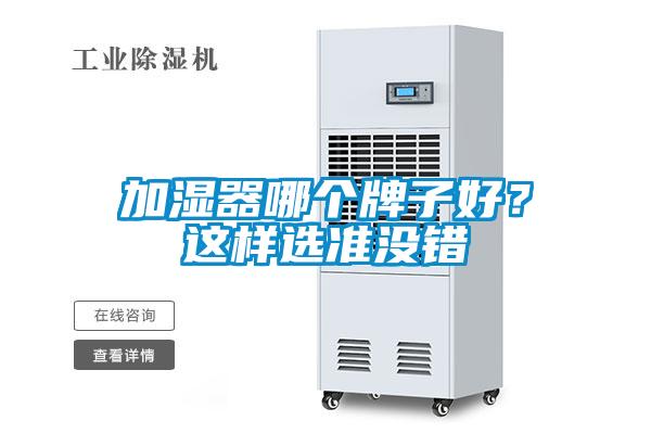 加濕器哪個牌子好？這樣選準沒錯