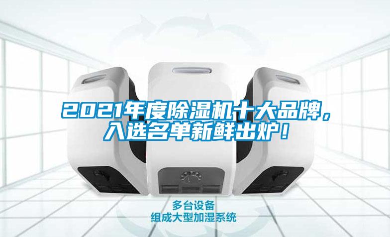 2021年度除濕機十大品牌，入選名單新鮮出爐！
