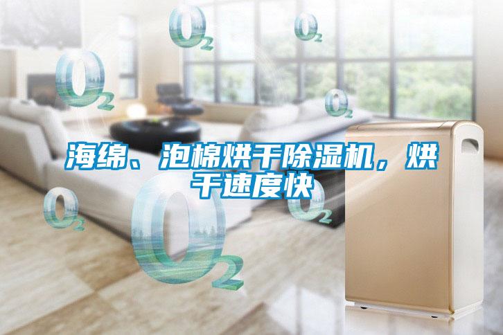 海綿、泡棉烘干除濕機，烘干速度快