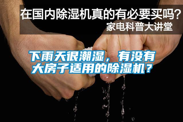 下雨天很潮濕，有沒有大房子適用的除濕機？