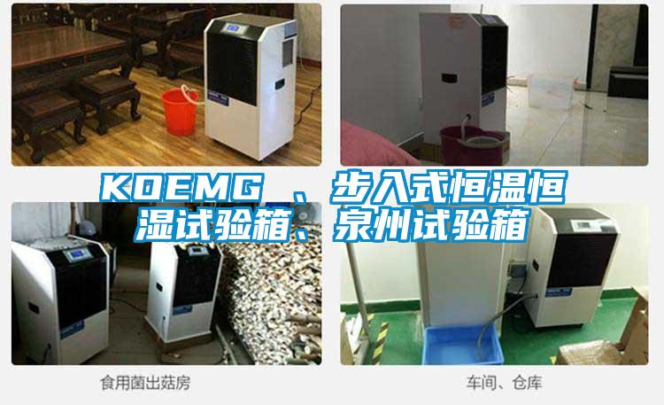 KOEMG 、步入式恒溫恒濕試驗箱、泉州試驗箱