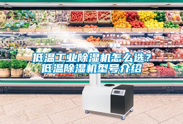 低溫工業除濕機怎么選？低溫除濕機型號介紹