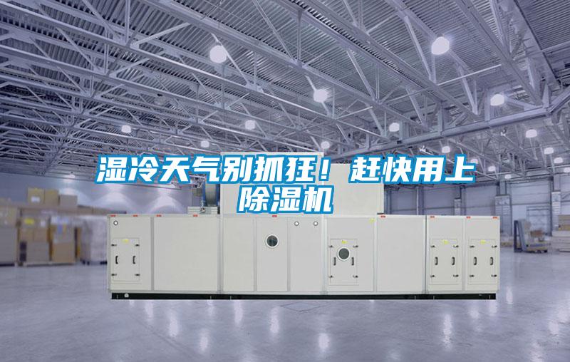濕冷天氣別抓狂！趕快用上除濕機