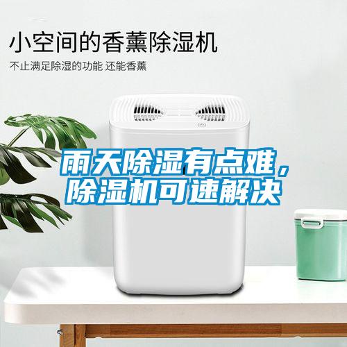 雨天除濕有點難，除濕機可速解決