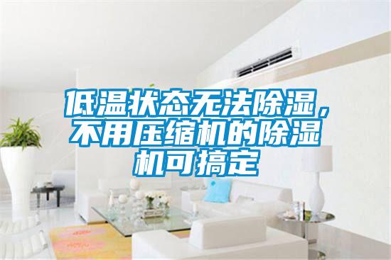 低溫狀態無法除濕，不用壓縮機的除濕機可搞定