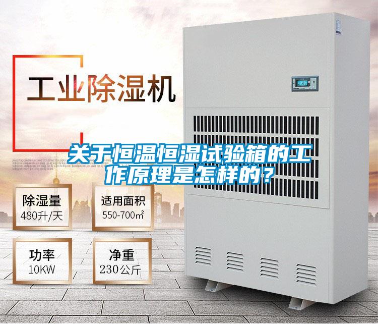 關于恒溫恒濕試驗箱的工作原理是怎樣的？
