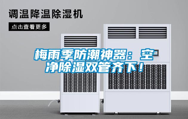 梅雨季防潮神器：空凈除濕雙管齊下！