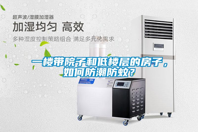 一樓帶院子和低樓層的房子，如何防潮防蚊？
