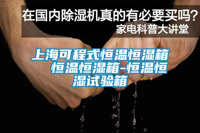 上?？沙淌胶銣睾銤裣? 恒溫恒濕箱-恒溫恒濕試驗箱