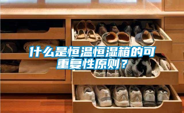 什么是恒溫恒濕箱的可重復性原則？