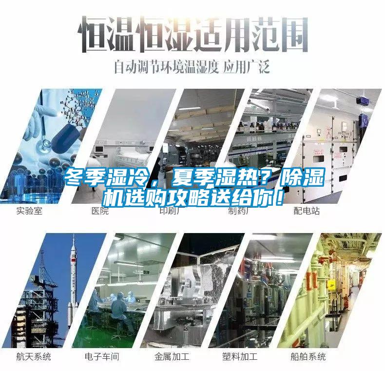 冬季濕冷，夏季濕熱？除濕機選購攻略送給你！