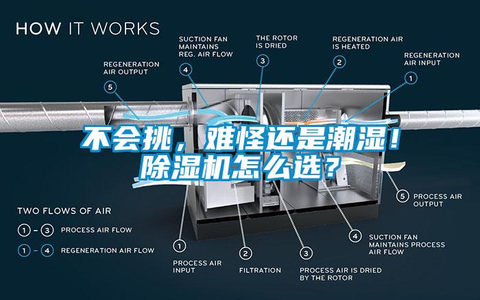 不會挑，難怪還是潮濕！除濕機怎么選？