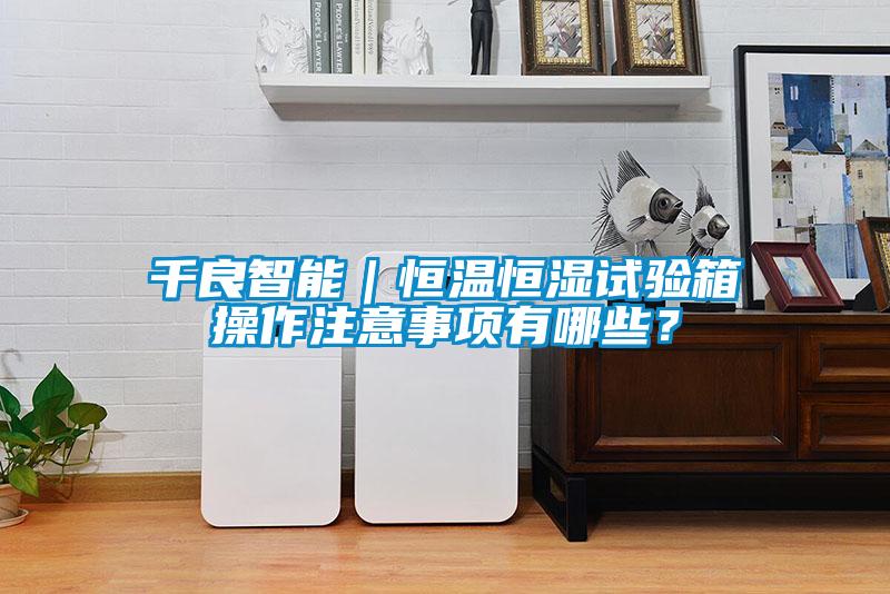 千良智能｜恒溫恒濕試驗箱操作注意事項有哪些？
