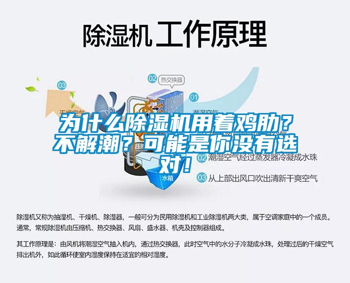 為什么除濕機用著雞肋？不解潮？可能是你沒有選對！