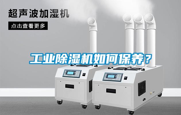 工業除濕機如何保養？