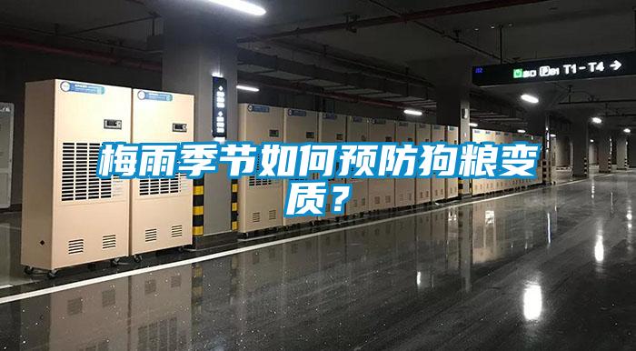 梅雨季節如何預防狗糧變質？