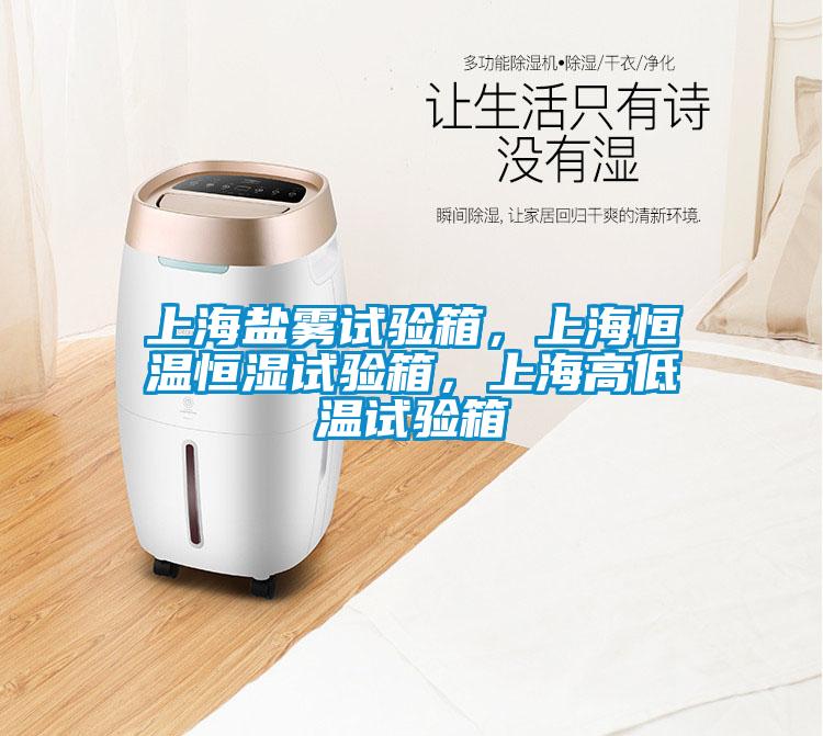 上海鹽霧試驗箱，上海恒溫恒濕試驗箱，上海高低溫試驗箱
