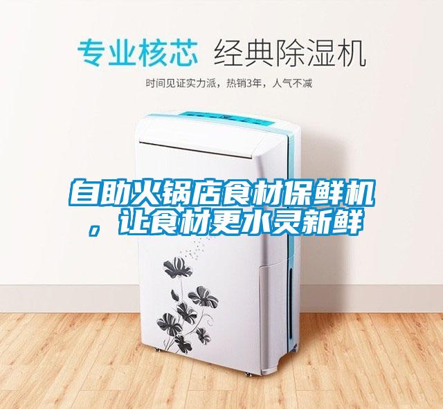 自助火鍋店食材保鮮機，讓食材更水靈新鮮