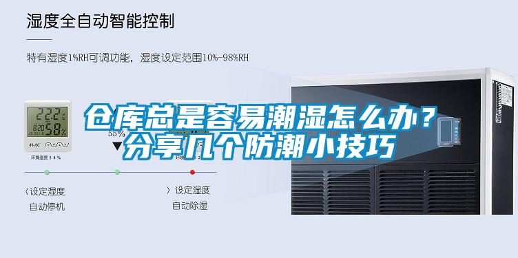 倉庫總是容易潮濕怎么辦？分享幾個防潮小技巧