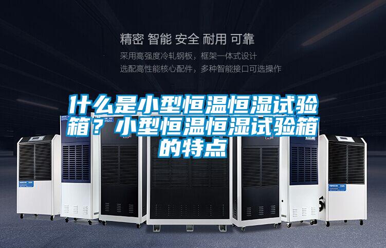 什么是小型恒溫恒濕試驗箱？小型恒溫恒濕試驗箱的特點