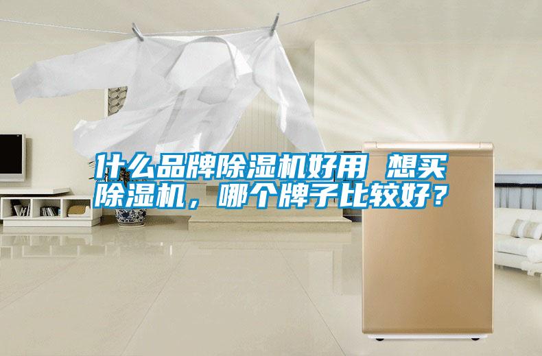 什么品牌除濕機好用 想買除濕機，哪個牌子比較好？