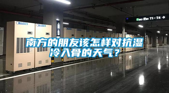 南方的朋友該怎樣對抗濕冷入骨的天氣？