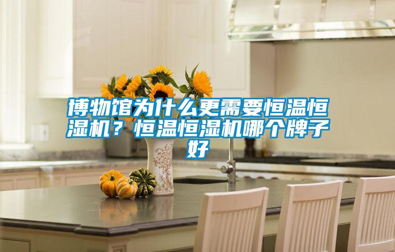 博物館為什么更需要恒溫恒濕機？恒溫恒濕機哪個牌子好