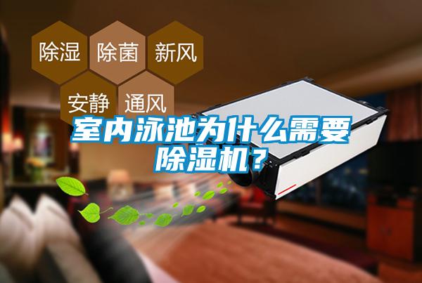 室內泳池為什么需要除濕機？