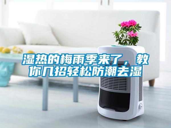 濕熱的梅雨季來了，教你幾招輕松防潮去濕